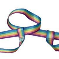 Pastel Rainbow Skate Leash