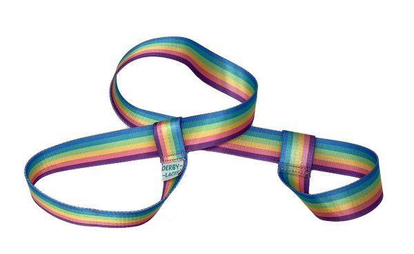 Pastel Rainbow Skate Leash