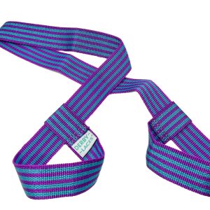 Purple & Teal Stripe Spark Skate Leash