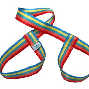 Tropical Sunset Skate Leash